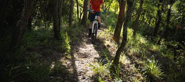Mountain biking in summer forest