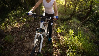 Mountain biking in summer forest