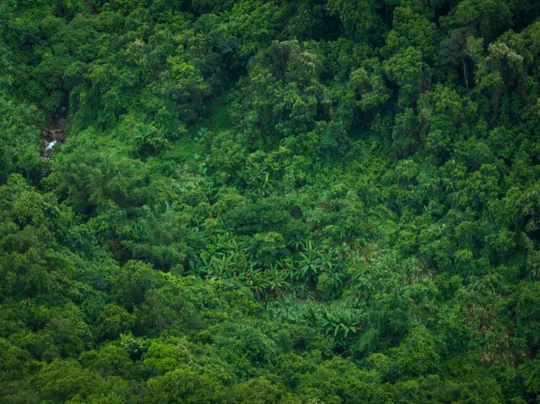 Вид Повітря Красивий Тропічний Лісовий Гірський Пейзаж — стокове фото