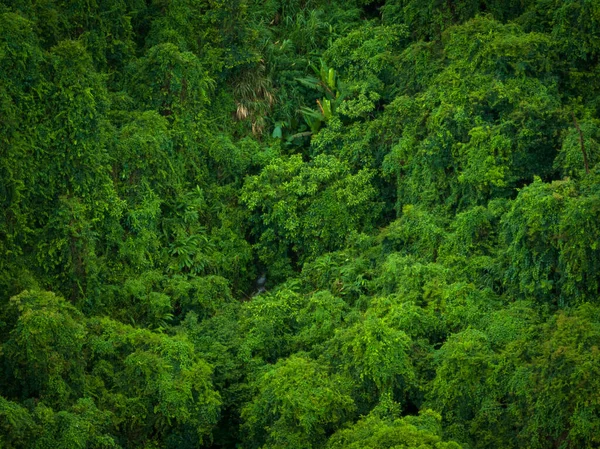 Aerial View Beautiful Tropical Forest Mountain Landscape — Foto de Stock