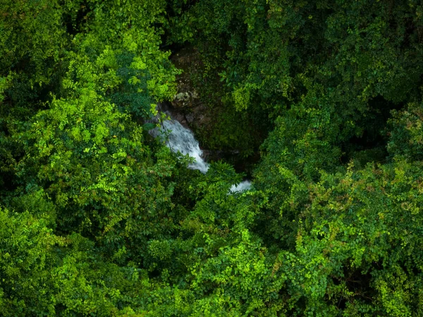 Aerial View Beautiful Tropical Forest Mountain Landscape — Fotografia de Stock