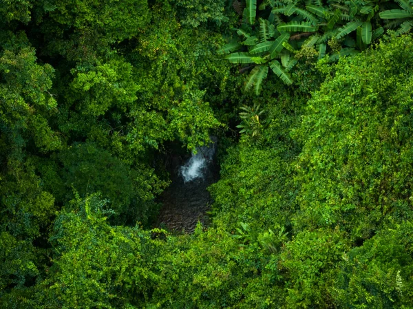 Вид Воздуха Красивый Тропический Лесной Горный Ландшафт — стоковое фото
