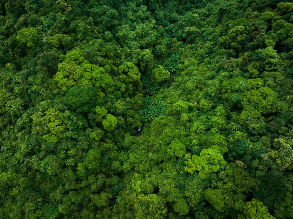 Aerial view of beautiful tropical forest mountain landscape