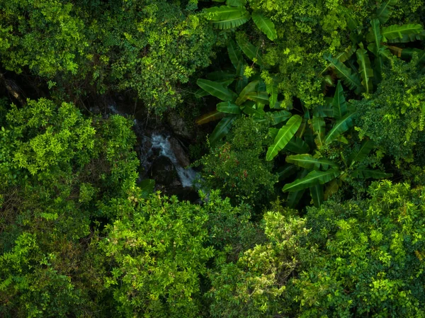 Aerial View Beautiful Tropical Forest Mountain Landscape — Foto de Stock