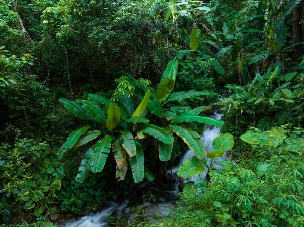 Aerial View Beautiful Tropical Forest Mountain Landscape — Stockfoto