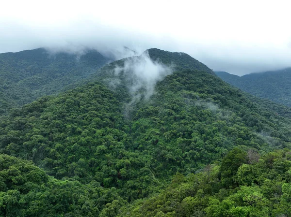 Vista Aérea Bela Paisagem Montanha Floresta — Fotografia de Stock