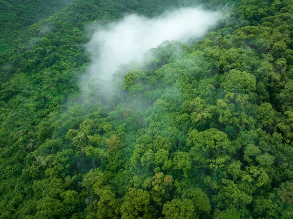 Vista Aérea Bela Paisagem Montanha Floresta — Fotografia de Stock