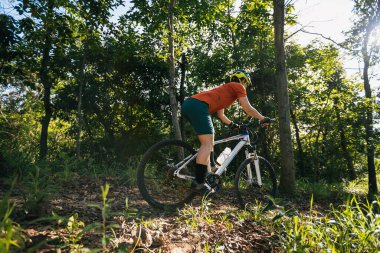 Mountain biking in summer forest