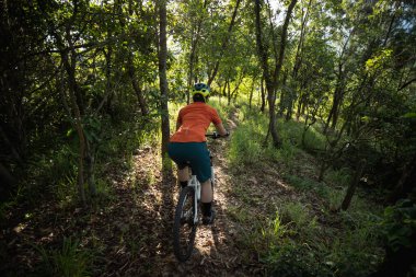 Mountain biking in summer forest