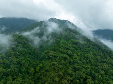 Güzel orman dağ manzarasının havadan görünüşü