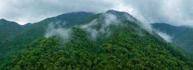 Güzel orman dağ manzarasının havadan görünüşü
