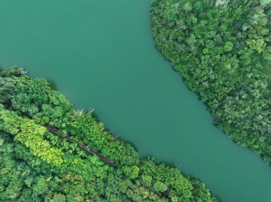 Göl kenarındaki ormanda saklanan patika.