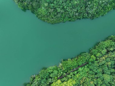 Göl kenarındaki ormanda saklanan patika.