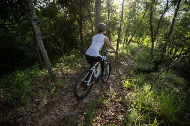 Mountain biking in summer forest