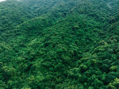 Aerial view of beautiful tropical forest mountain landscape