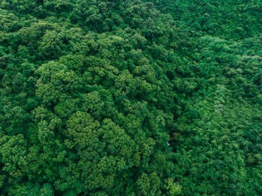 Aerial view of beautiful tropical forest mountain landscape