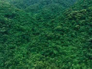 Aerial view of beautiful tropical forest mountain landscape