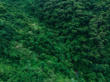 Aerial view of beautiful tropical forest mountain landscape