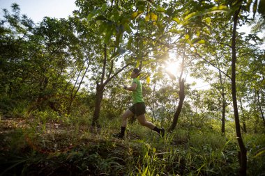 Woman trail runner running at sunrise tropical forest mountain peak