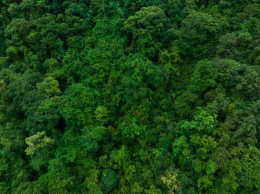 Aerial view of beautiful tropical forest mountain landscape
