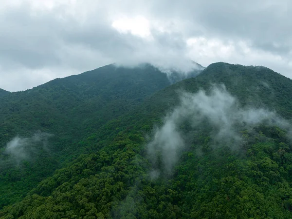 Vista Aérea Bela Paisagem Montanha Floresta — Fotografia de Stock