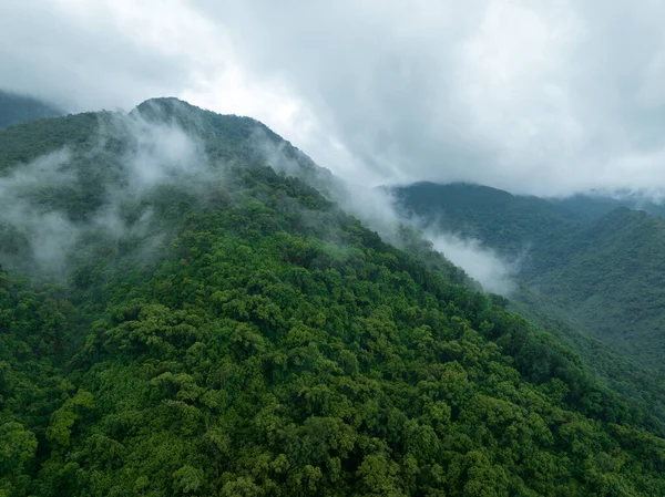 Vista Aérea Bela Paisagem Montanha Floresta — Fotografia de Stock