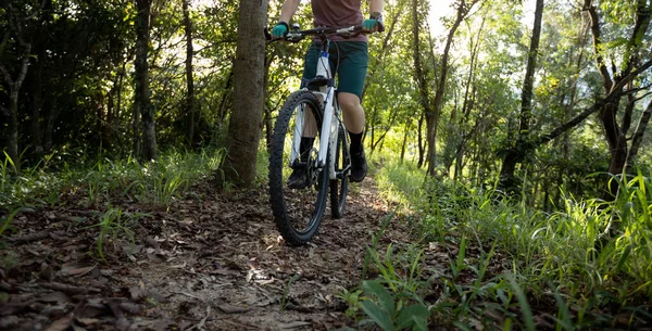 Mountain Biking Summer Forest — Foto de Stock
