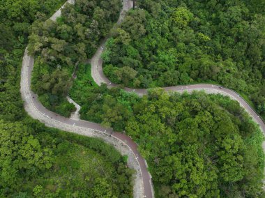 Windy trail in tropical forest