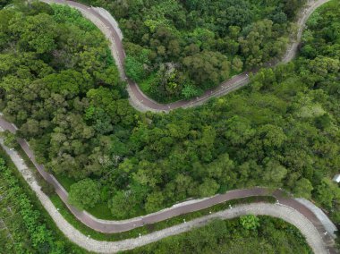 Windy trail in tropical forest