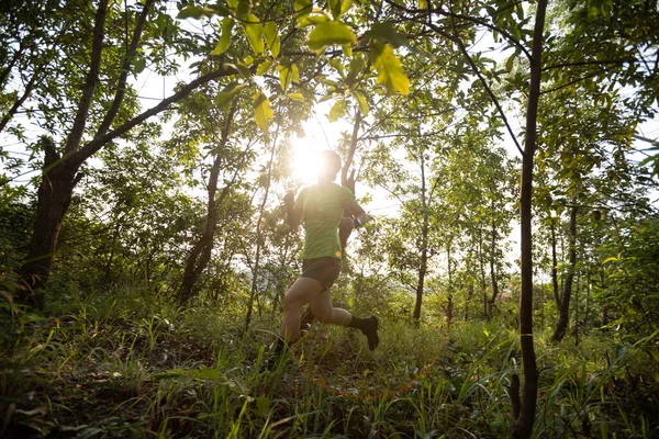 Woman trail runner running at sunrise tropical forest mountain peak