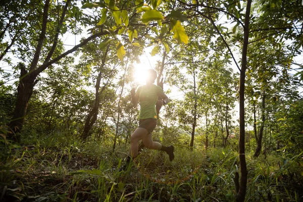 Woman Trail Runner Running Sunrise Tropical Forest Mountain Peak — 图库照片