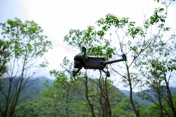 Flying drone in summer forest