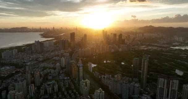 Vedere Aeriană Peisajului Orașul Shenzhen China — Videoclip de stoc