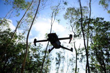 Flying drone in summer forest