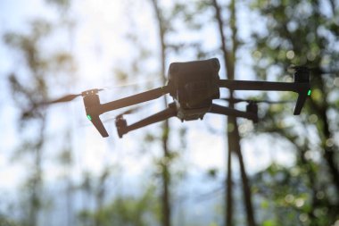 Flying drone in summer forest