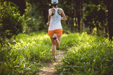 Trail runner running in summer forest trail