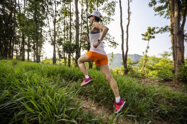 Trail runner running in summer forest trail