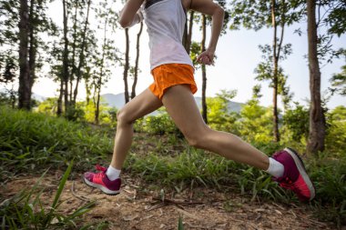 Trail runner running in summer forest trail