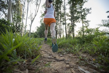 Trail runner running in summer forest trail