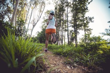 Trail runner running in summer forest trail