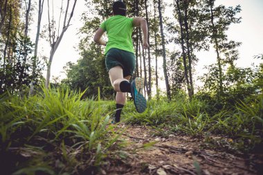 Trail runner running in summer forest trail