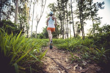 Trail runner running in summer forest trail