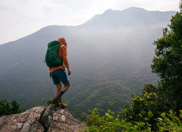 Furchtlose Wanderin Blickt Auf Die Felskante Auf Dem Gipfel Des — Stockfoto