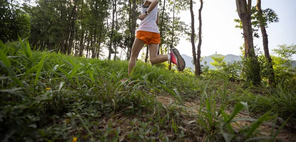 Trail Runner Running Summer Forest Trail — 图库照片