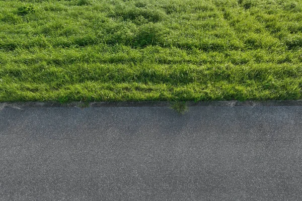 Bovenaanzicht Van Het Pad Groen Gras — Stockfoto