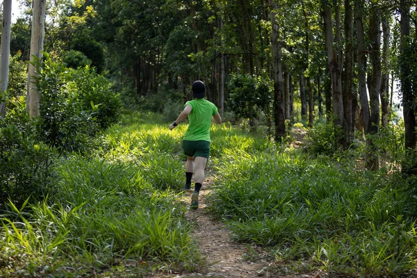 Trail Runner Running Summer Forest Trail — 图库照片