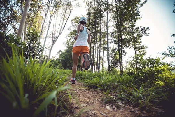 Trail Runner Running Summer Forest Trail — Stok fotoğraf