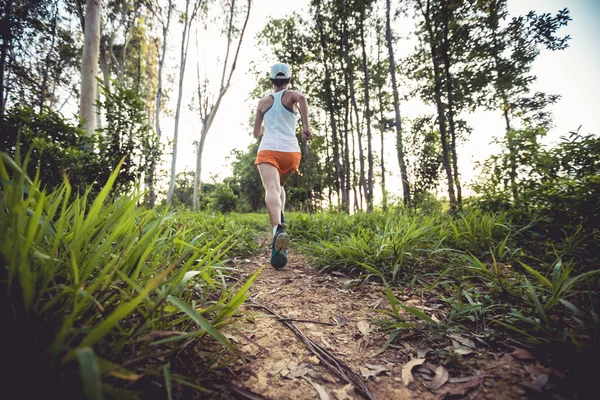 Trail Runner Running Summer Forest Trail — 스톡 사진