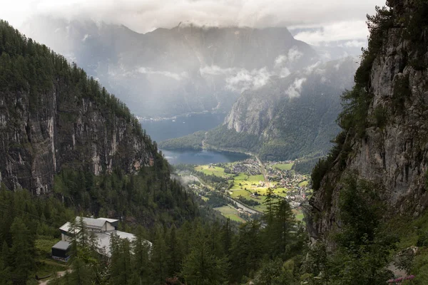Vista Dalla Cima Della Montagna Lago Hallstatter Alta Austria Salzkammergut — Foto Stock