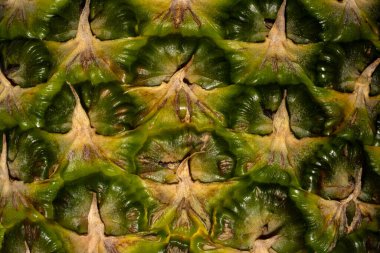 Yeşil ve sarı desenli ananas çerçeveyi doldurdu.